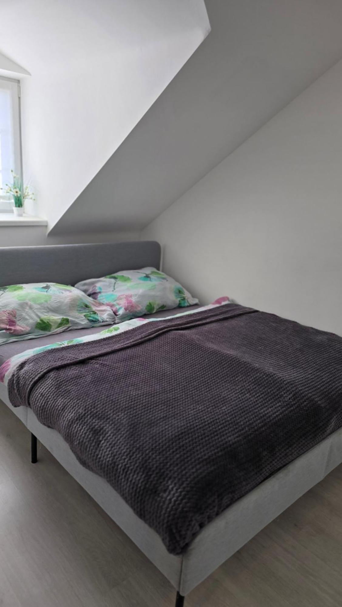 Apartman - Cafe Princ Pod Hradem Wifi, Klima Sternberk Ngoại thất bức ảnh